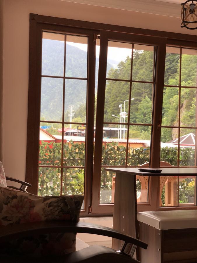 Apartment Kuloglu 2 Uzungol